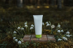 a green and white vase sitting on top of a piece of wood