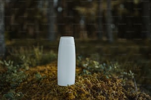 a white vase sitting on top of a moss covered ground