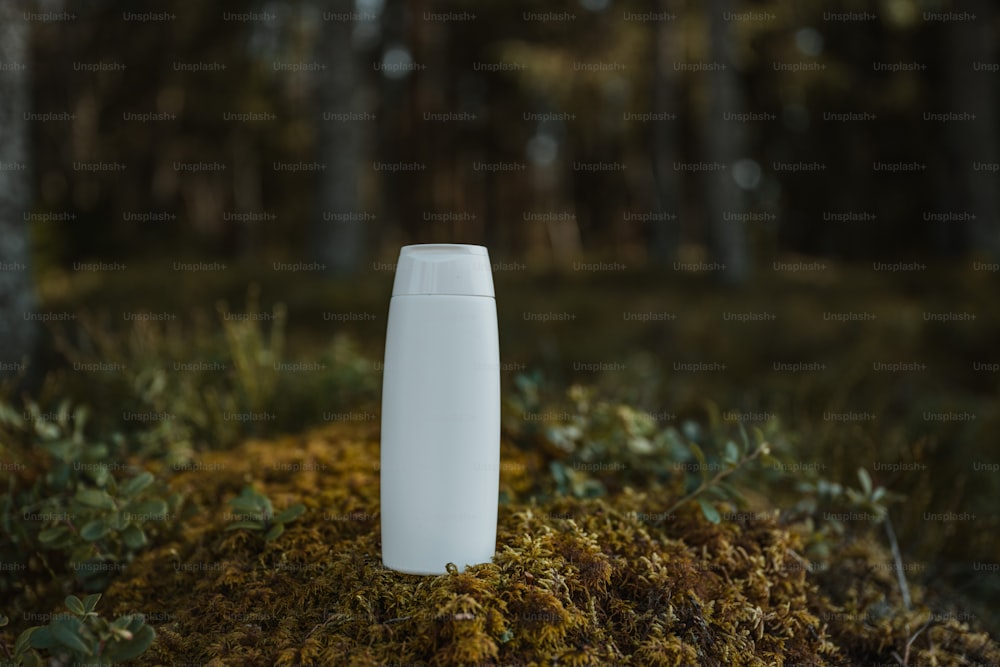 un vase blanc posé sur un sol recouvert de mousse