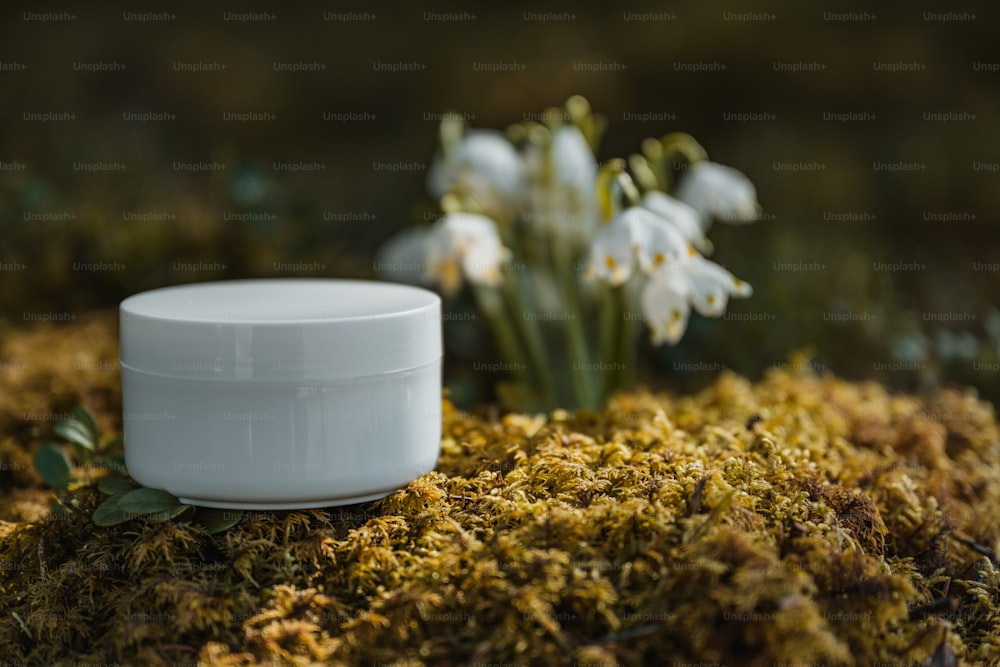 a white jar sitting on top of a moss covered ground