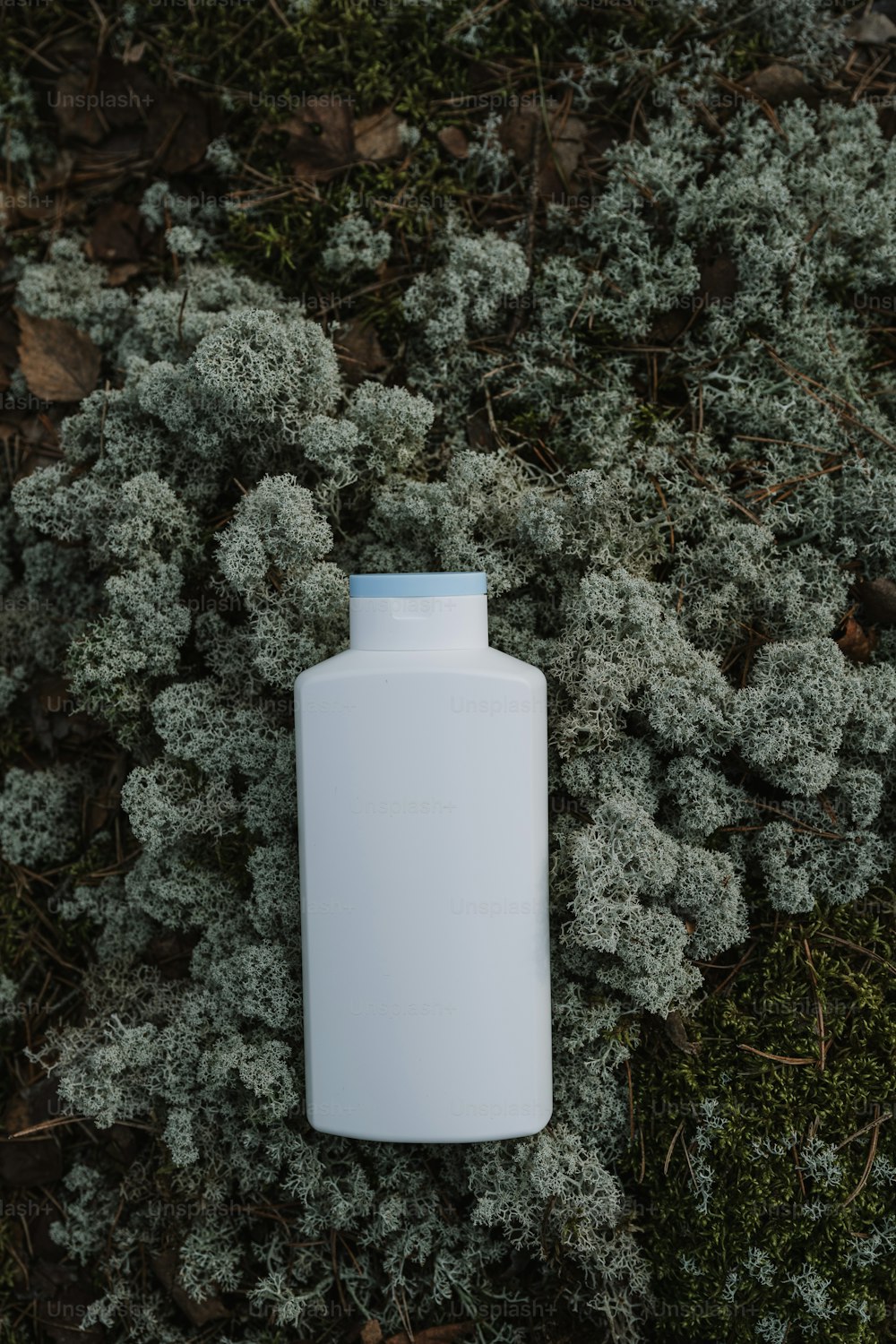 una bottiglia bianca seduta sopra una macchia d'erba
