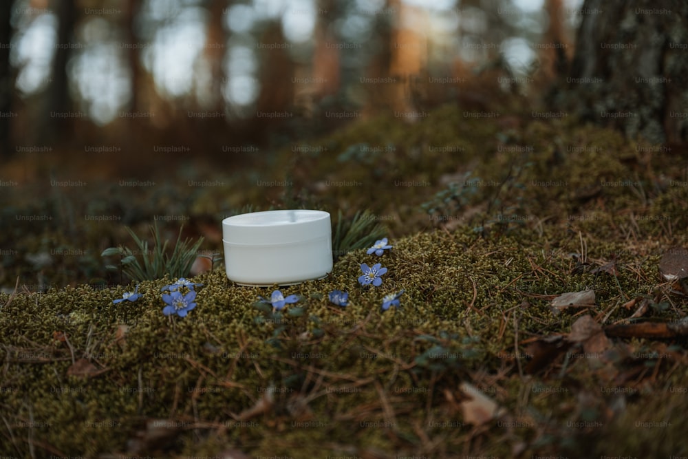 un contenitore bianco seduto sopra un terreno coperto di muschio