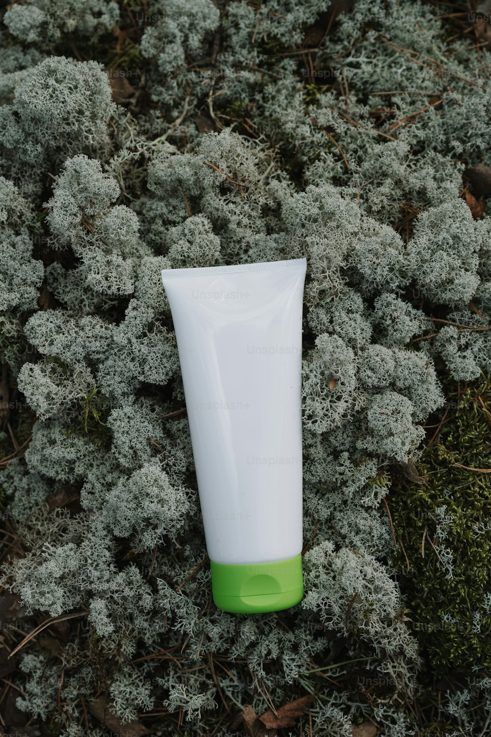 a tube of toothpaste sitting on a bed of moss