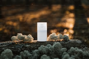 um recipiente branco sentado em cima de um toco de árvore