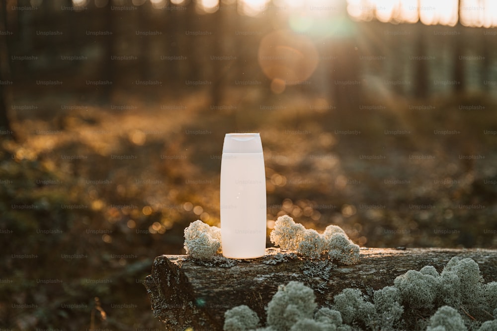 um vaso branco sentado em cima de um tronco em uma floresta