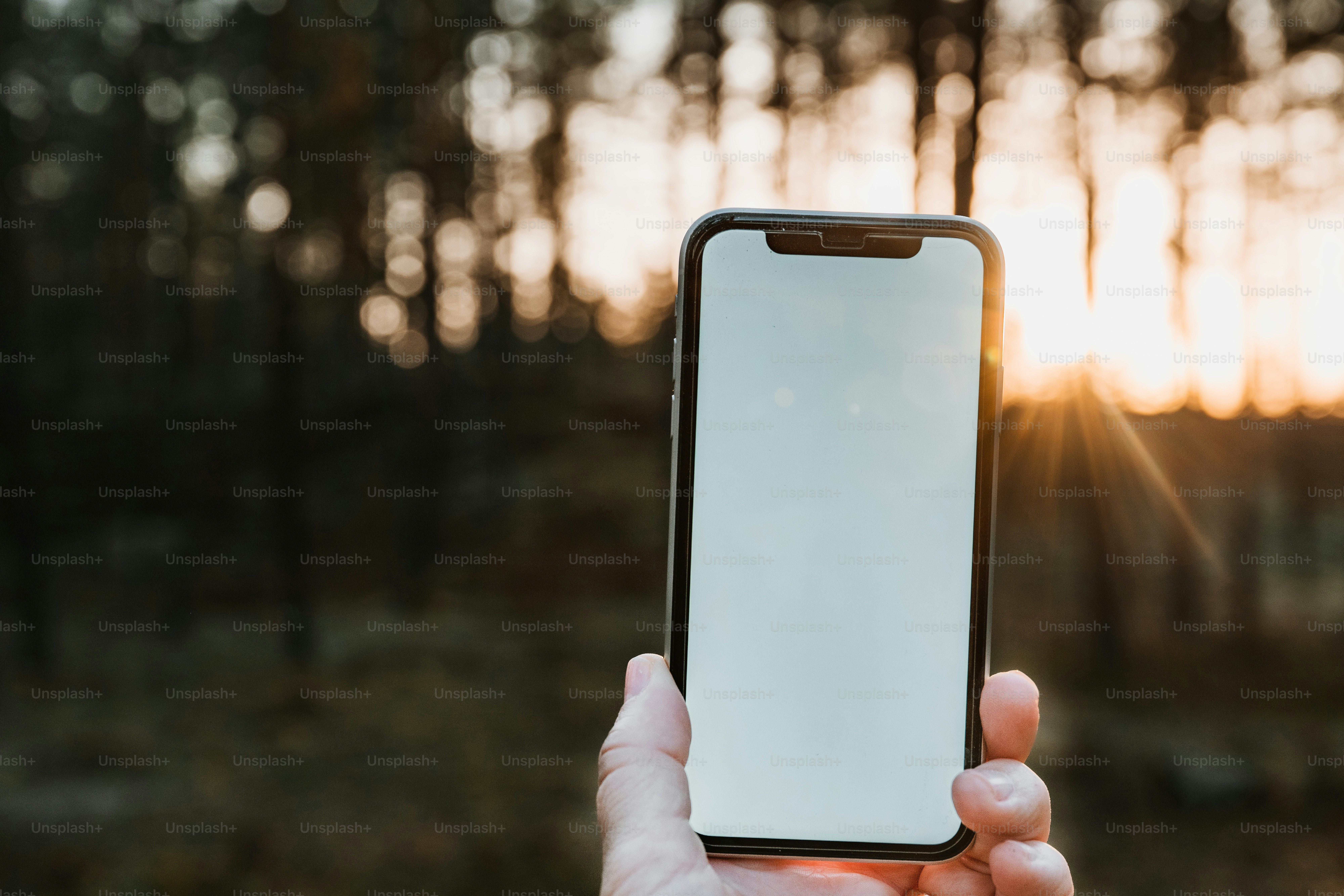 a person holding a cell phone in their hand