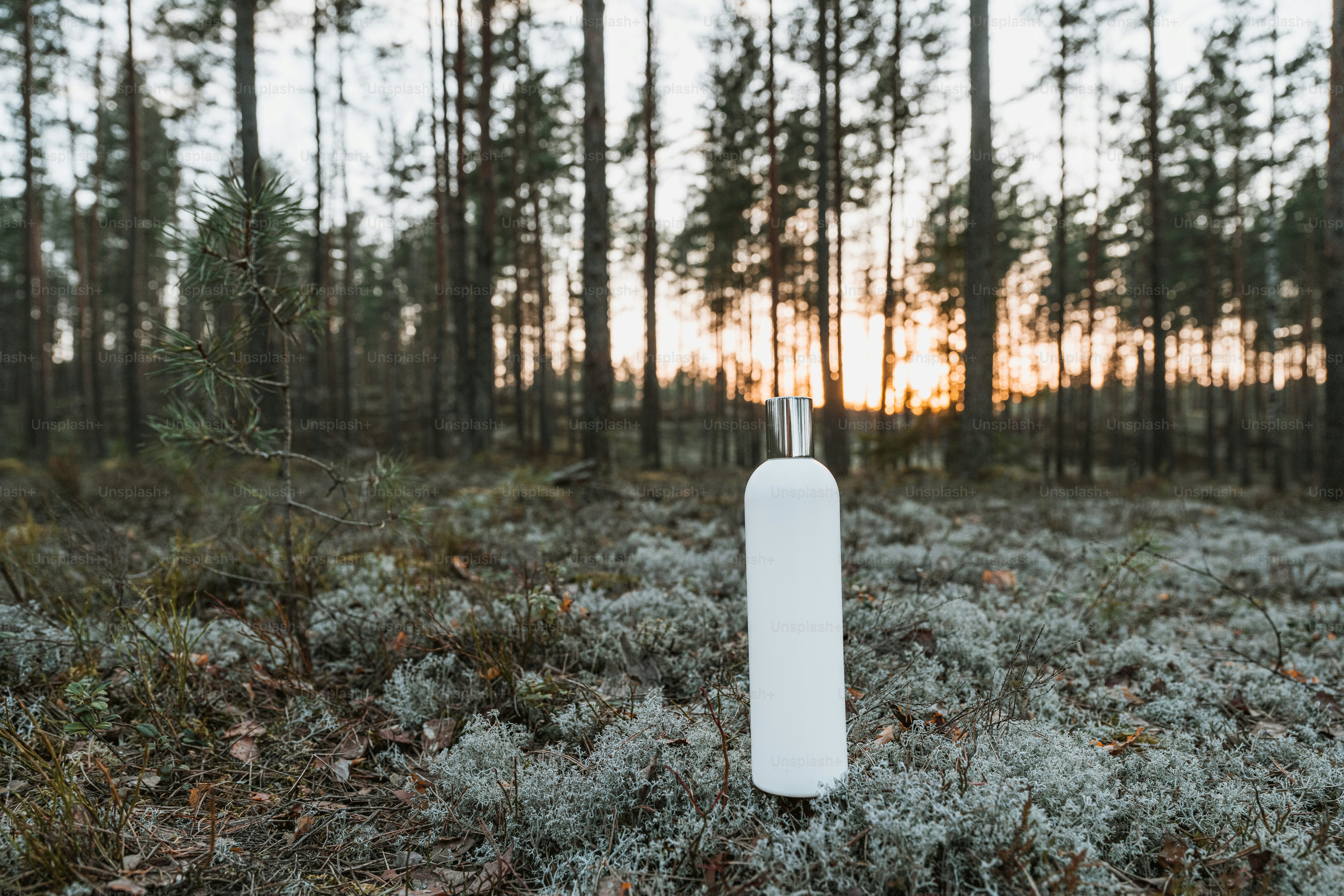 a white object in the middle of a forest