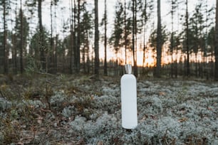 a white object in the middle of a forest