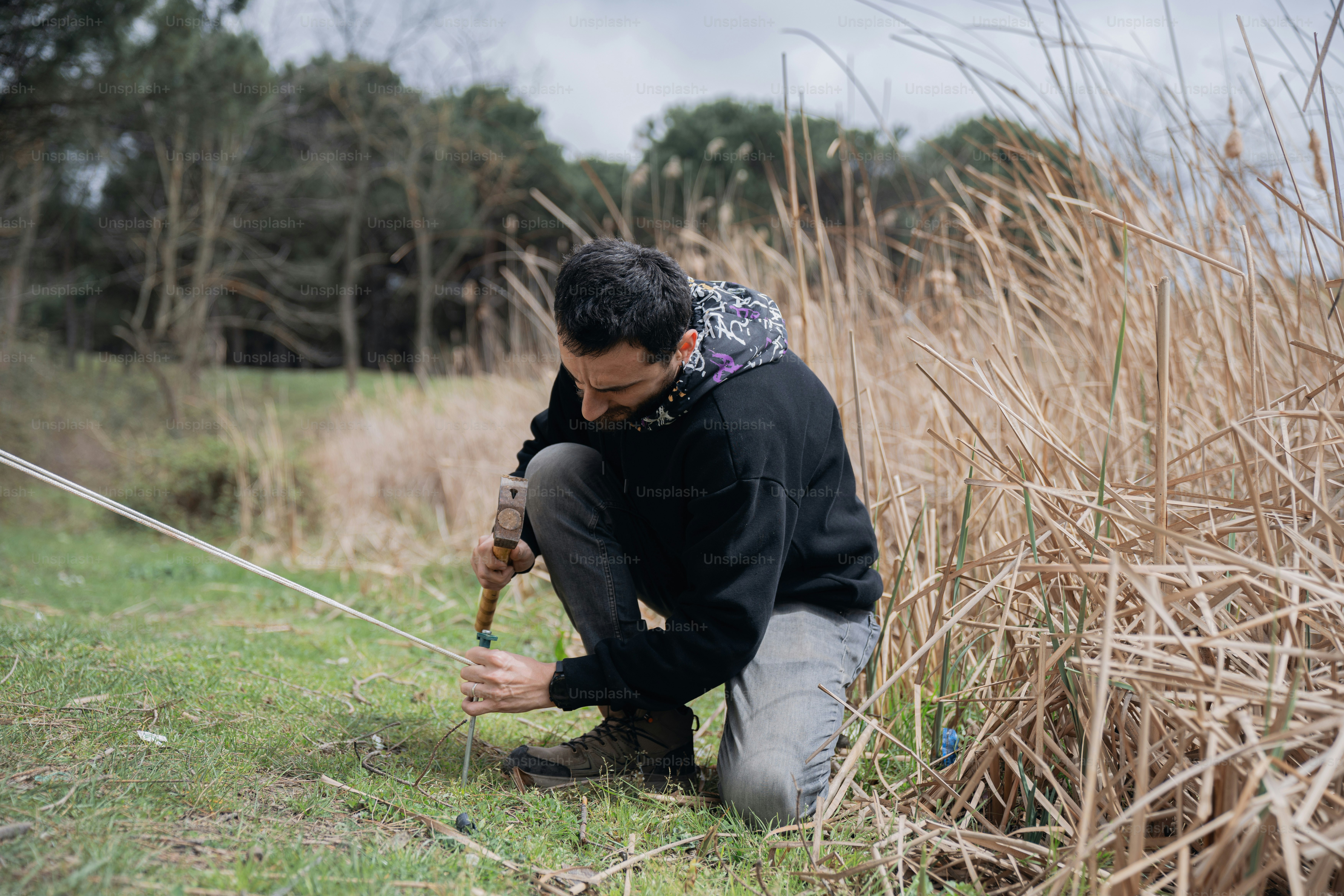 Fieldwork Pictures | Download Free Images on Unsplash