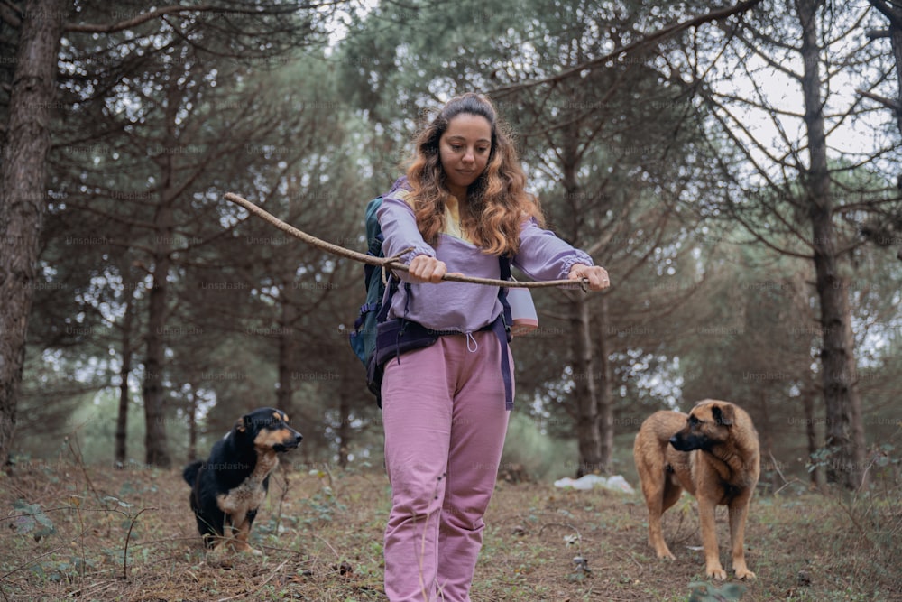 a woman holding a stick with two dogs in the background