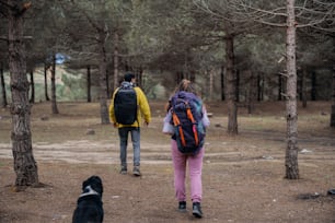 a couple of people walking through a forest with a dog