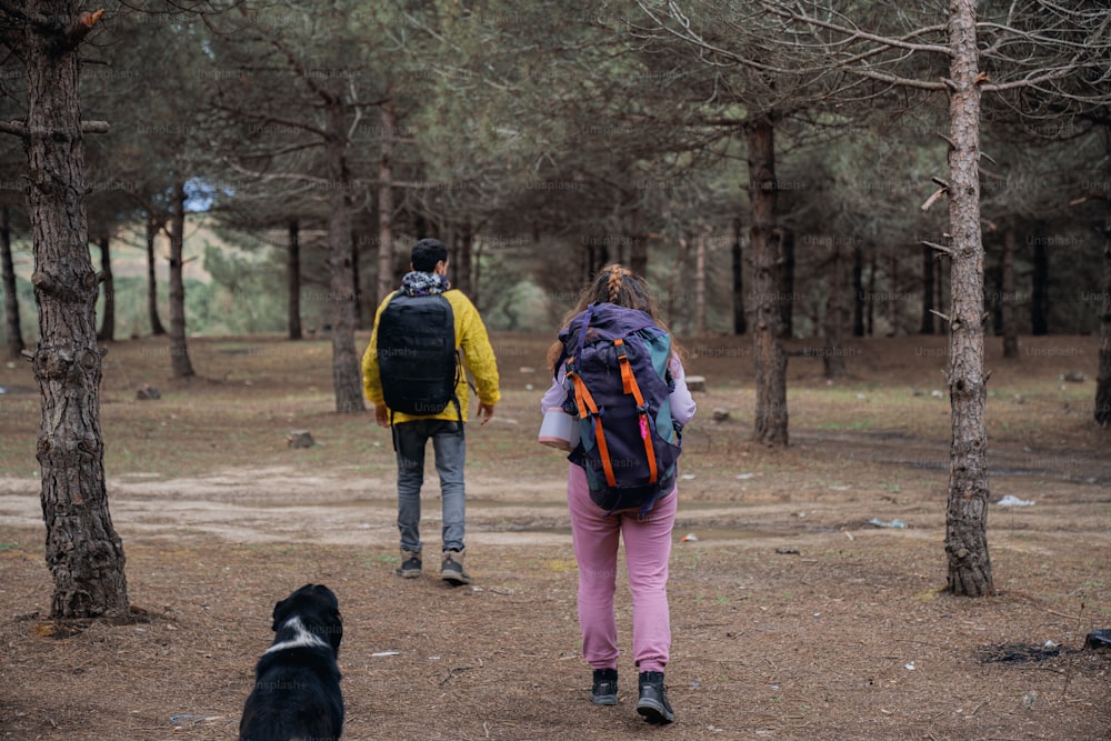 um casal de pessoas andando por uma floresta com um cachorro