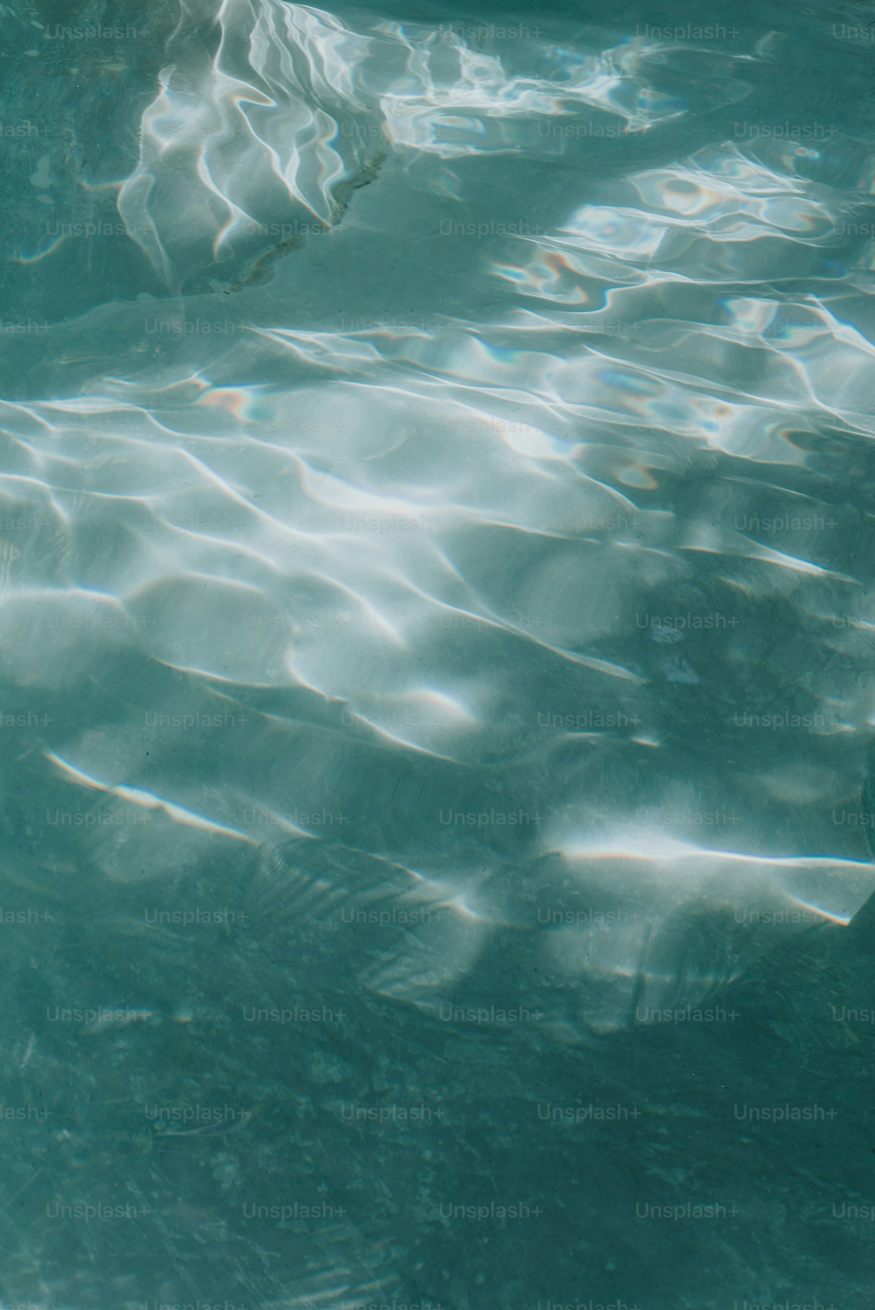 a person swimming in a pool of water
