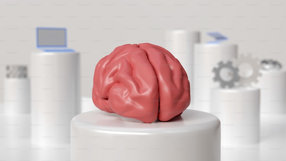 a pink brain sitting on top of a white pedestal