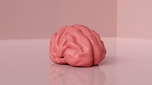 Un modèle rose d’un cerveau humain sur une surface réfléchissante