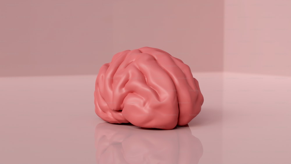 Ein rosafarbenes Modell eines menschlichen Gehirns auf einer reflektierenden Oberfläche