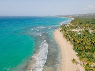 an aerial view of a beach with palm trees