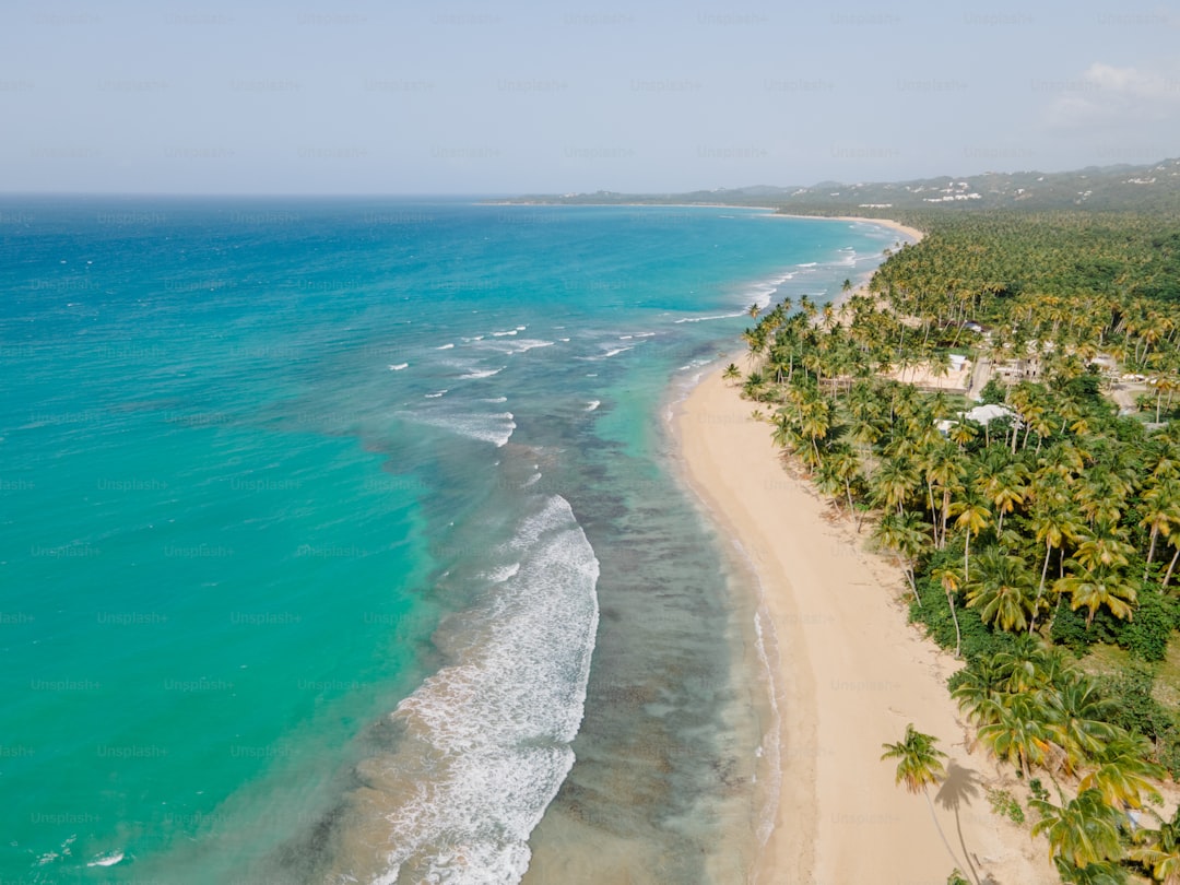 an aerial view of a beach with palm trees