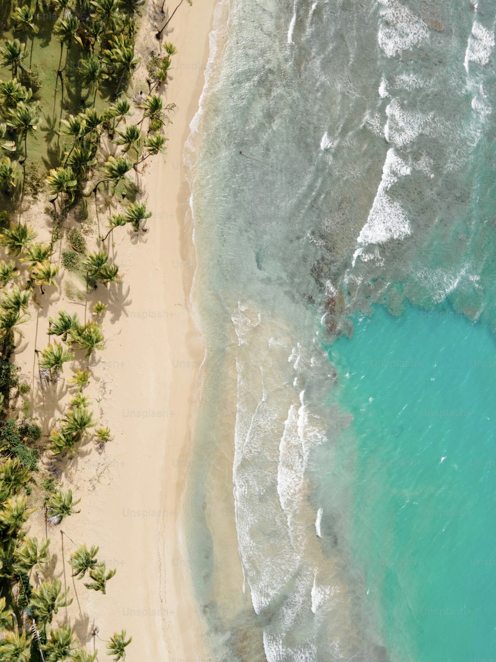 Una vista aérea de una playa de arena con palmeras