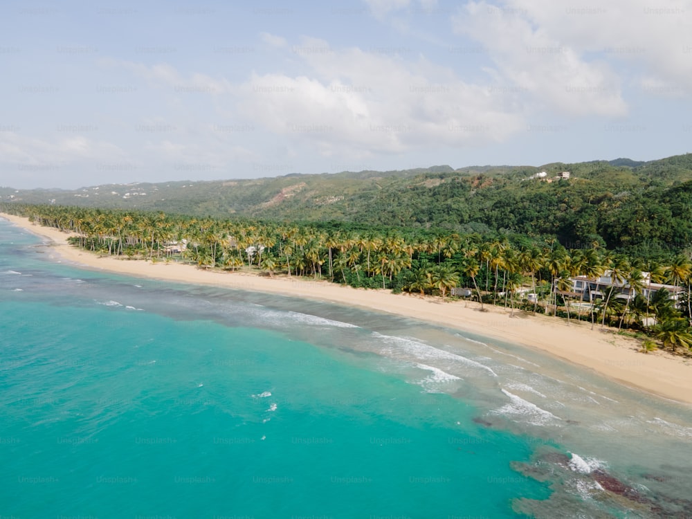 an aerial view of a beach with palm trees