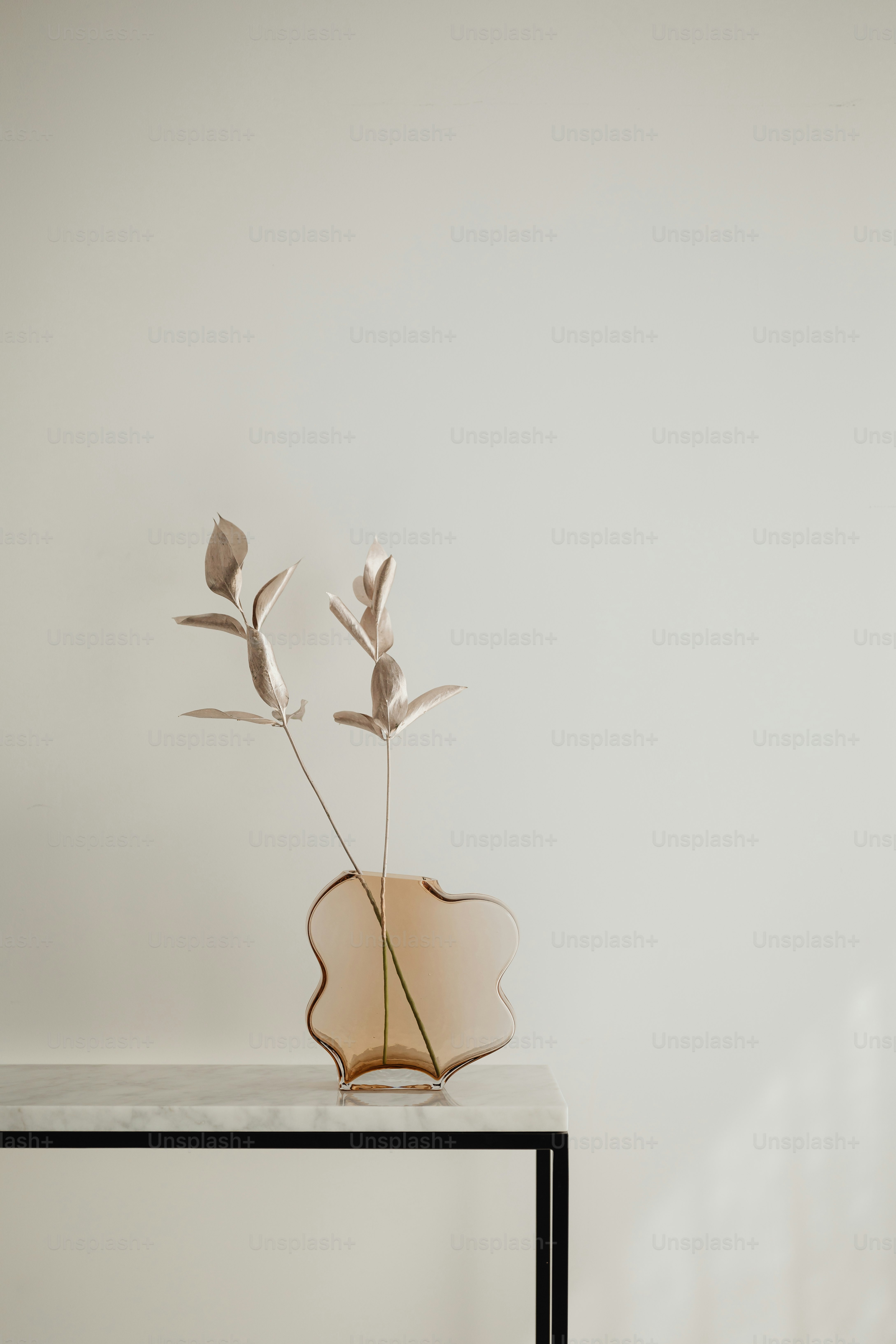 eine Vase mit zwei Blumen auf einem Tisch