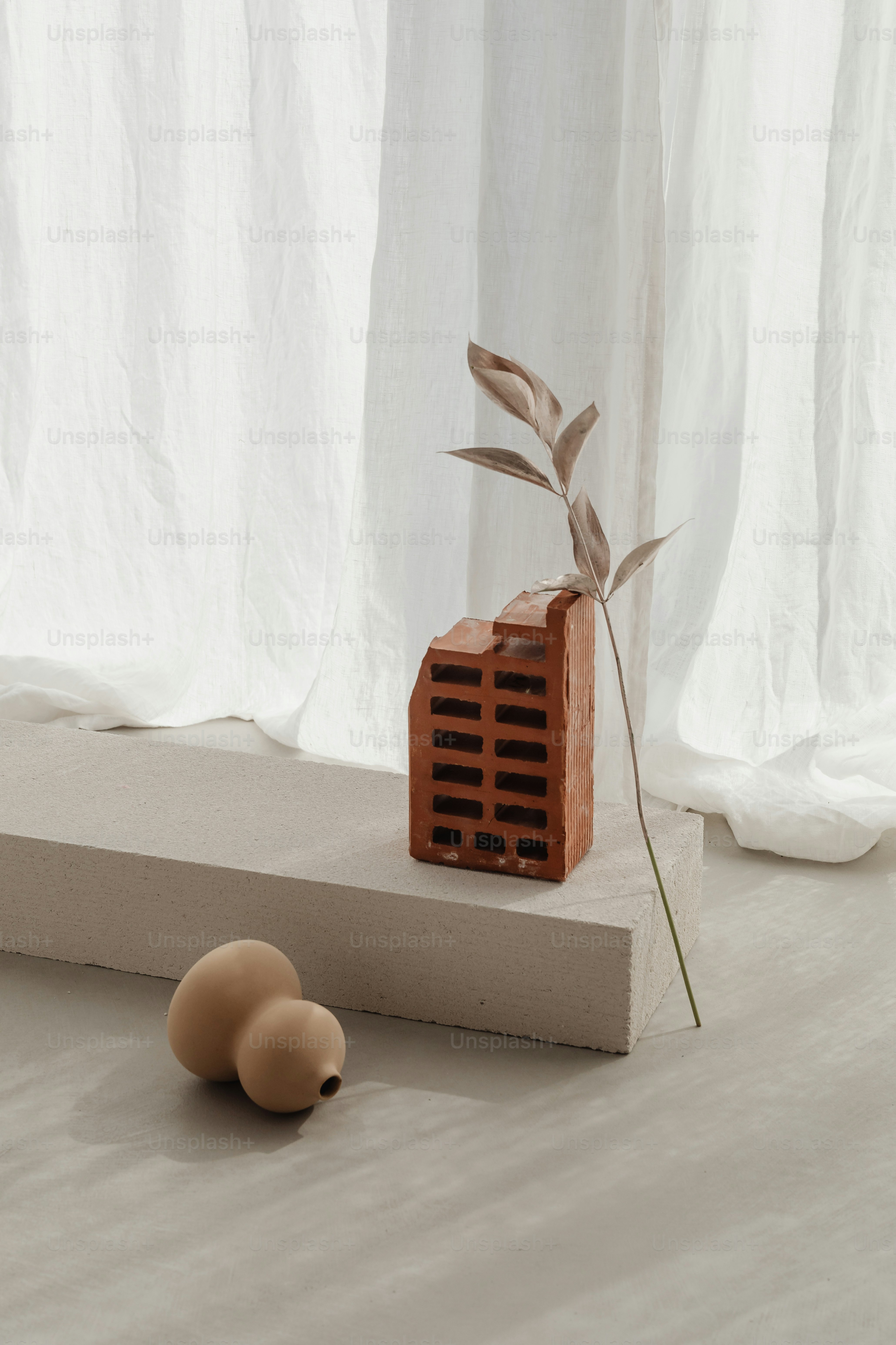 Zwei Eier sitzen auf einem Betonblock neben einer Pflanze