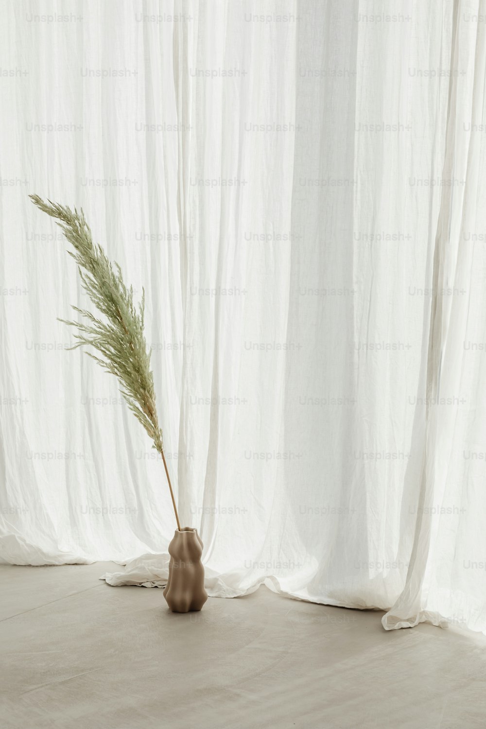a vase with a plant in it sitting in front of a curtain