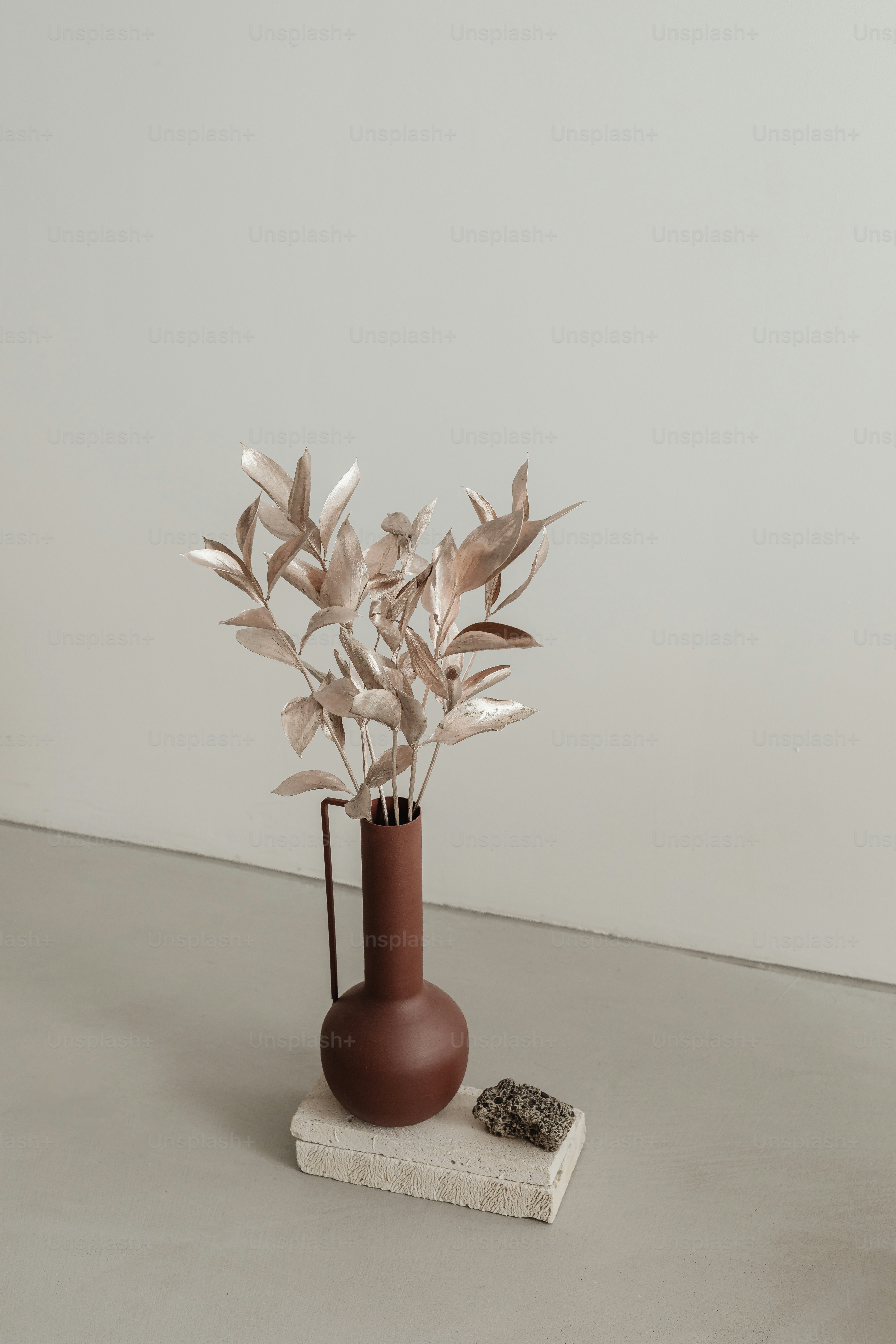 A vase with a plant in it sitting on a table photo – Minimalism Image ...