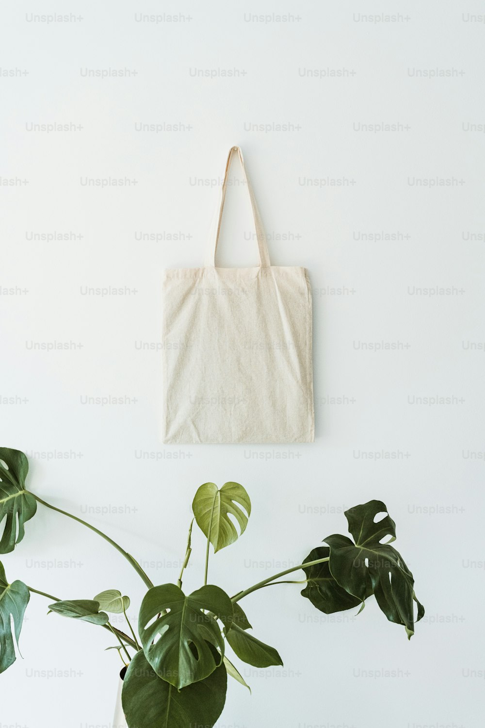 um saco branco pendurado em uma parede ao lado de uma planta