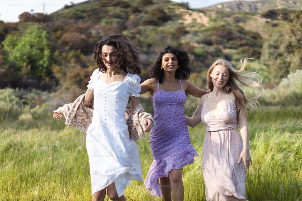 緑豊かな野原を歩く女性のグループ