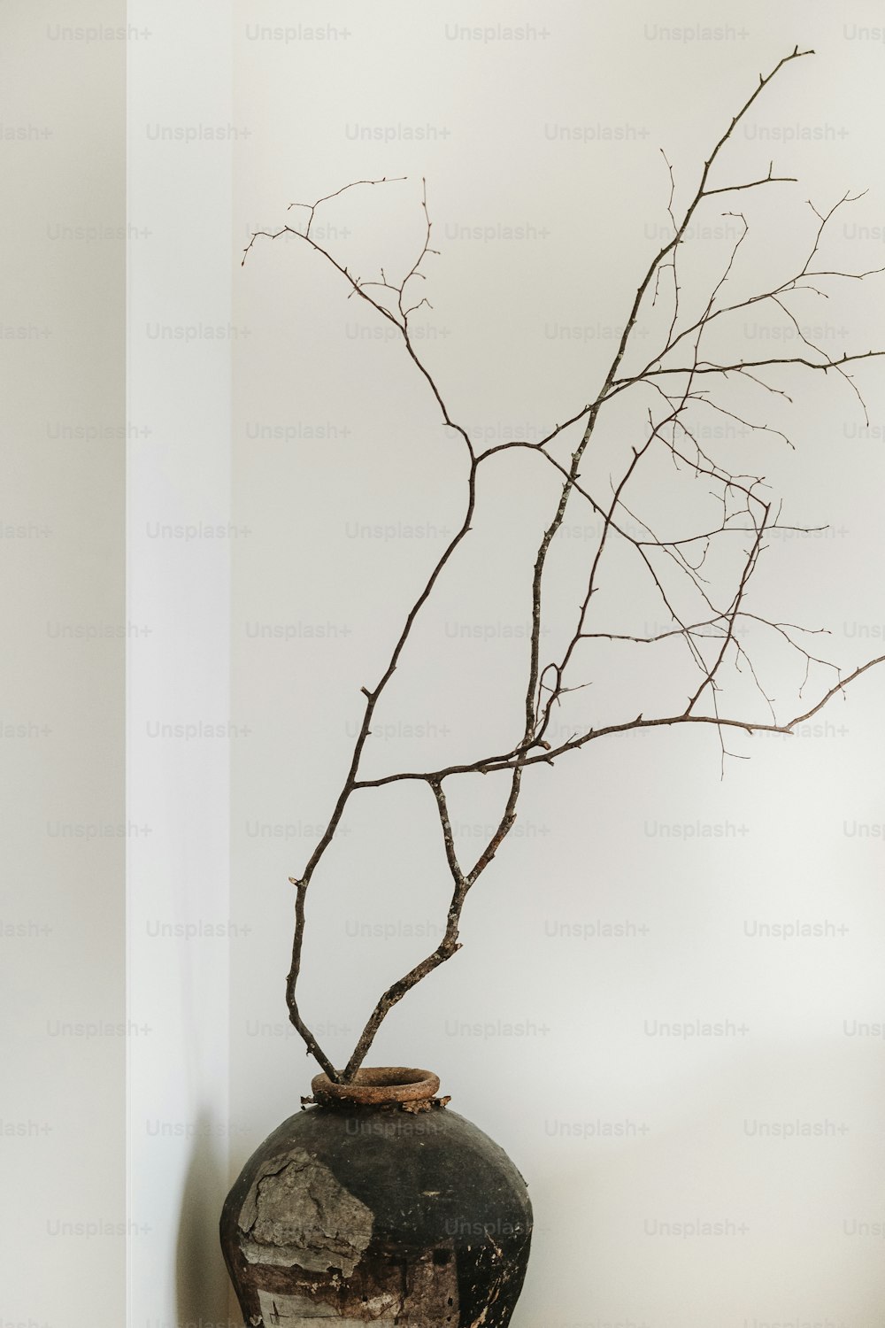a vase with a branch sticking out of it
