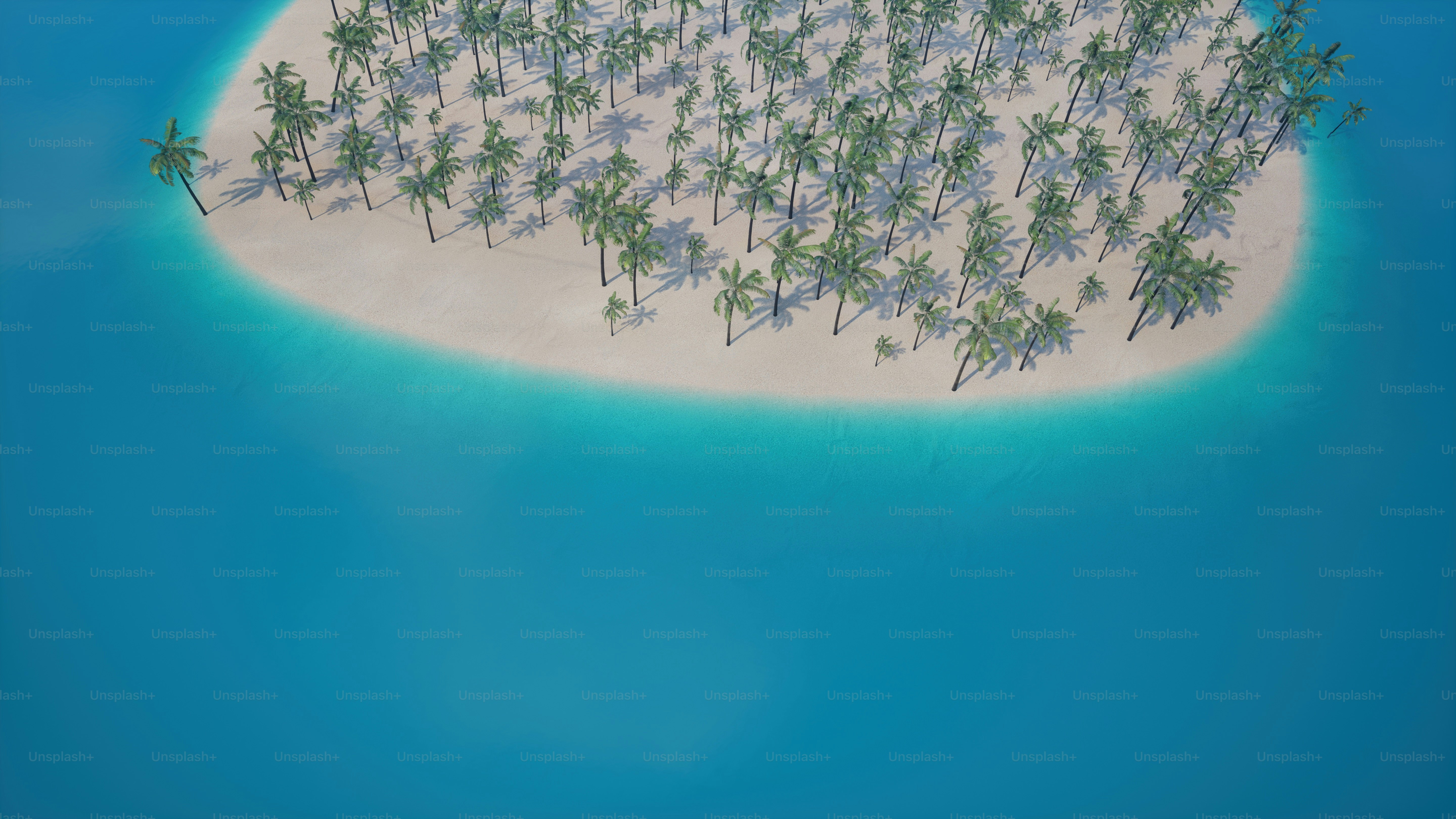 真ん中にヤシの木がある島