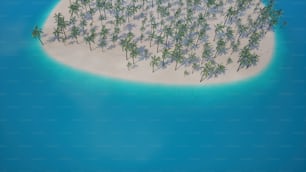 Une île avec des palmiers au milieu