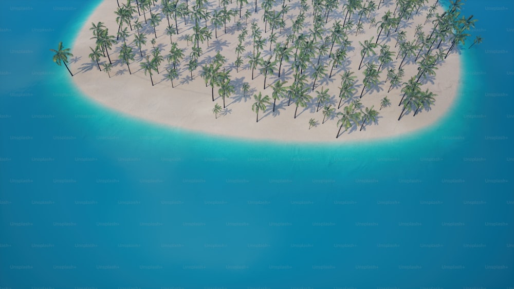 an island with palm trees in the middle of it