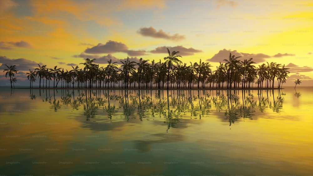 a tropical sunset with palm trees reflected in the water