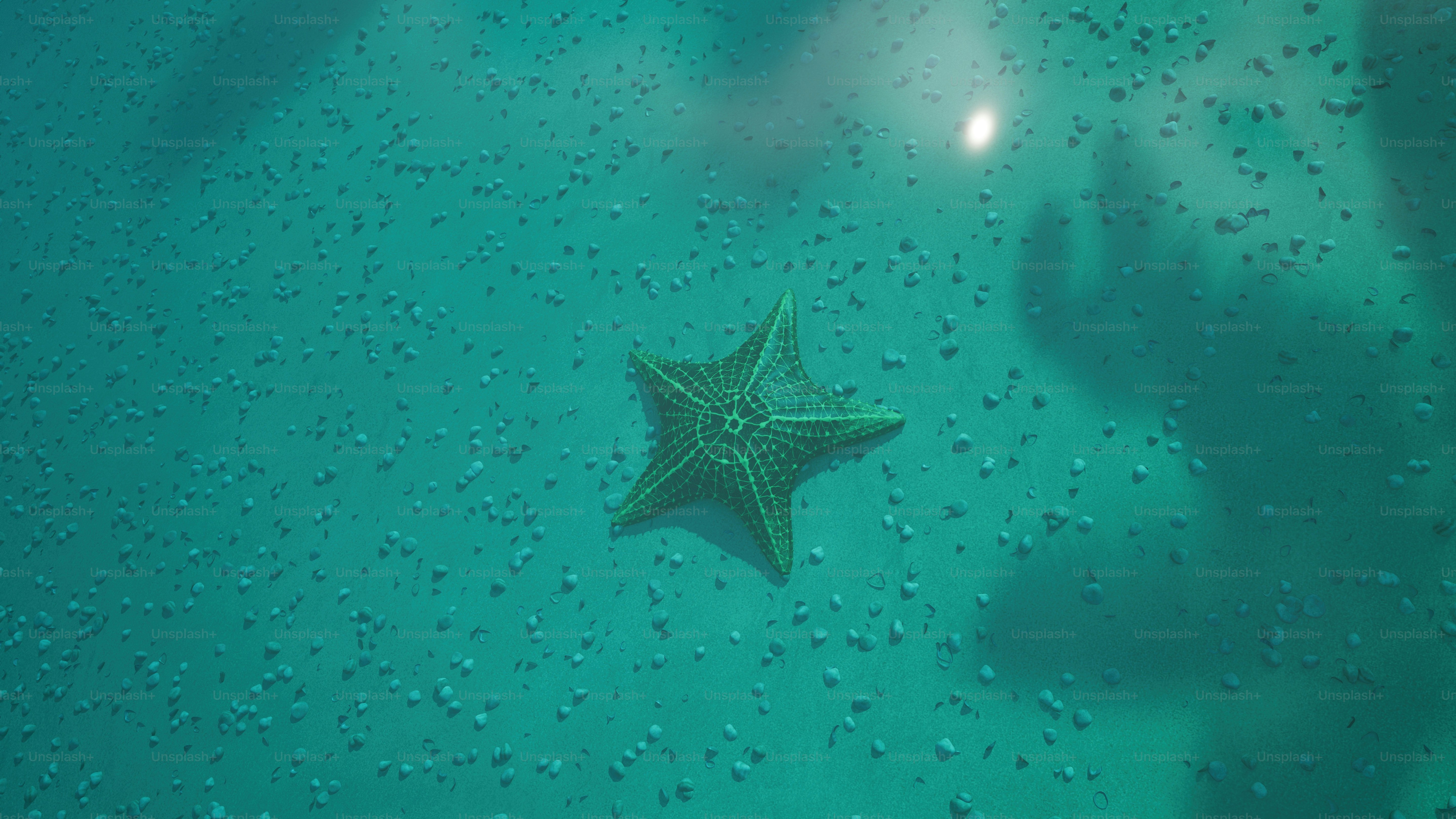 uma estrela do mar em uma superfície verde na água