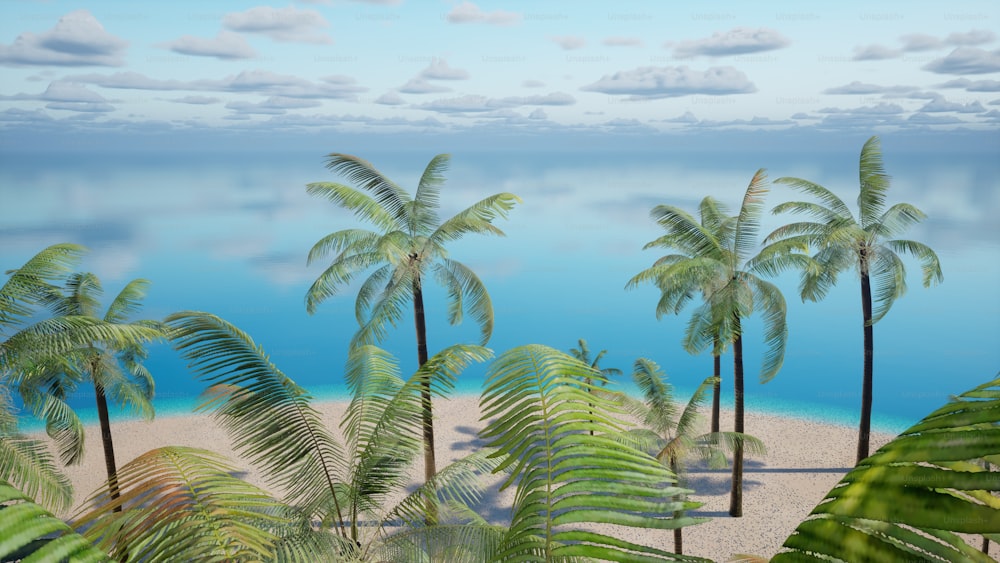 Una spiaggia tropicale con palme e l'oceano sullo sfondo