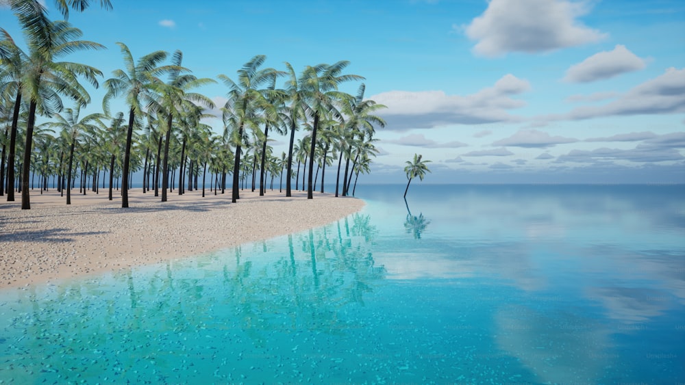 Ein tropischer Strand mit Palmen und blauem Wasser