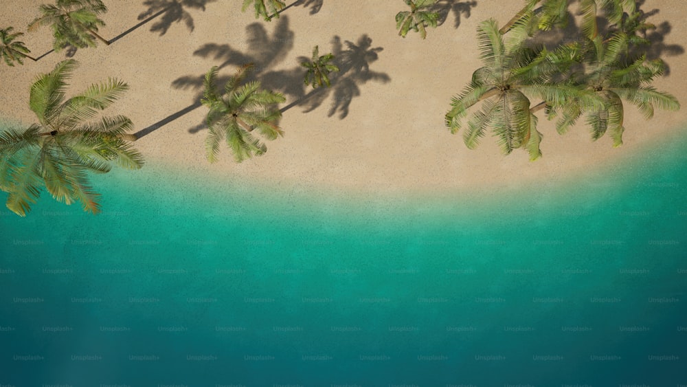Ein Strand mit Palmen aus der Vogelperspektive