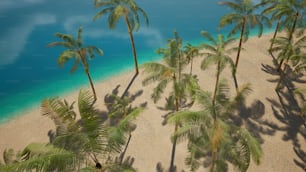 a group of palm trees sitting on top of a sandy beach