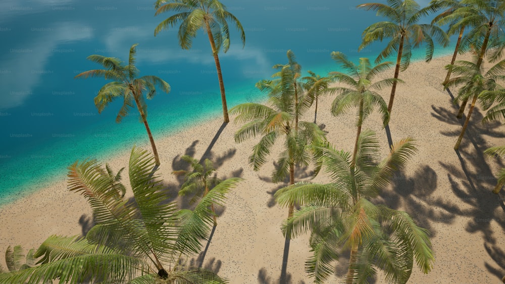 Eine Gruppe von Palmen, die auf einem Sandstrand sitzen