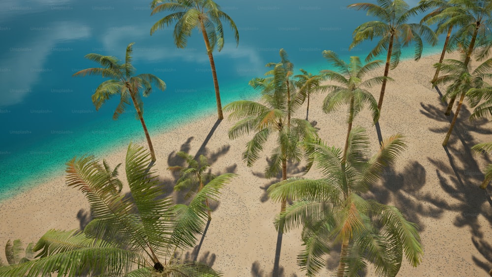 a group of palm trees sitting on top of a sandy beach