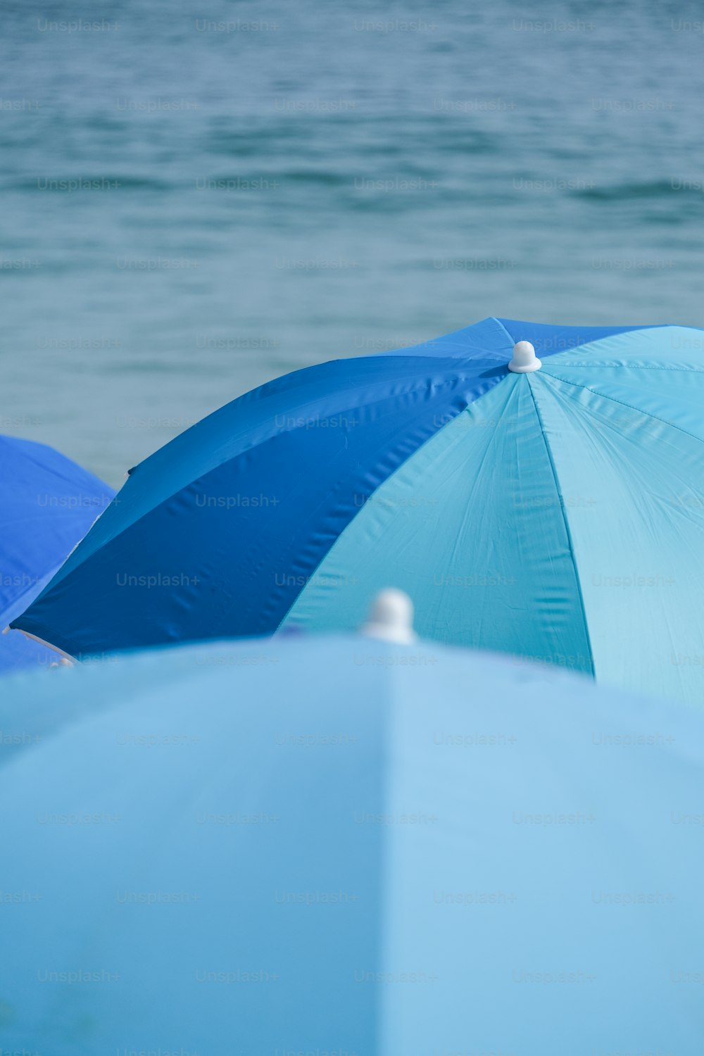 Eine Gruppe blauer Sonnenschirme, die auf einem Strand sitzen