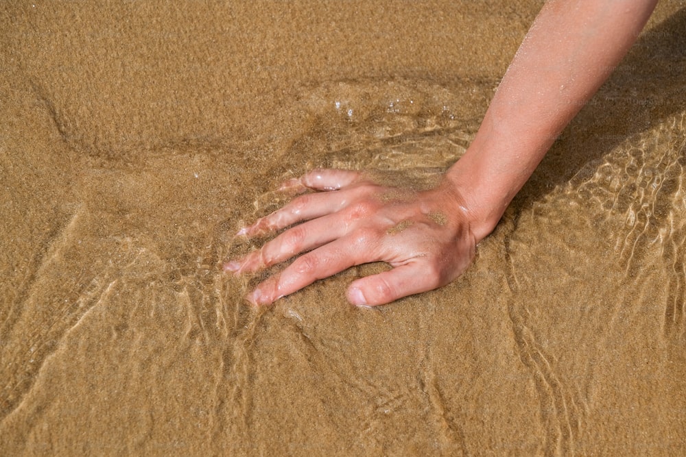 a person's hand on the sand of a beach