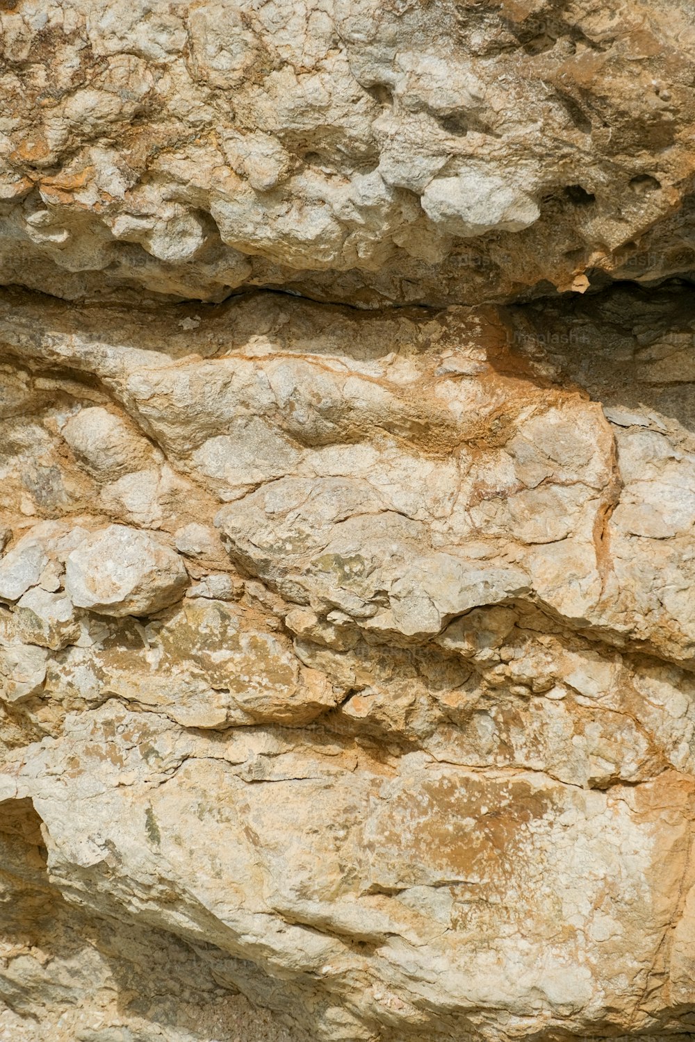 Ein Vogel sitzt auf einem Felsvorsprung