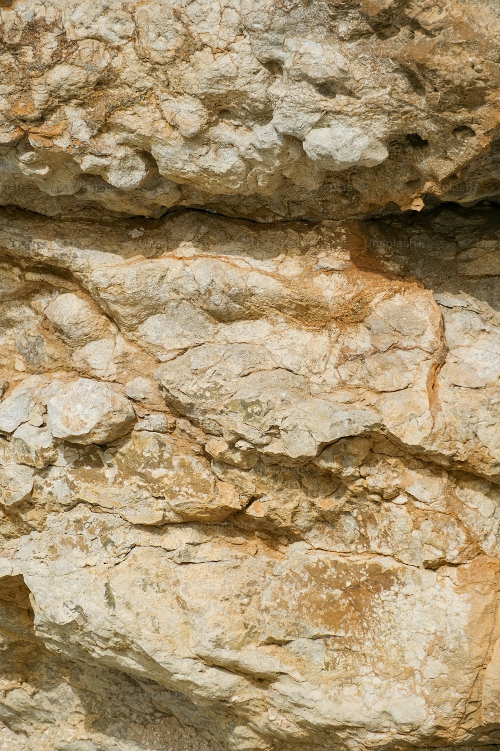 a bird is perched on a rock ledge