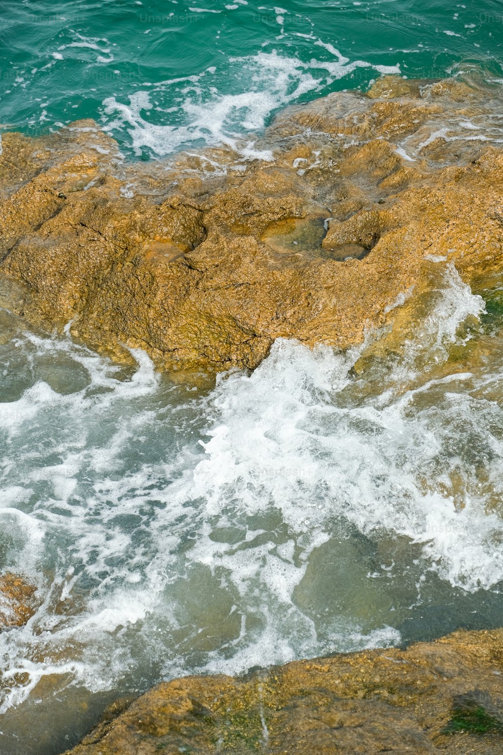 a bird sitting on top of a rock next to the ocean