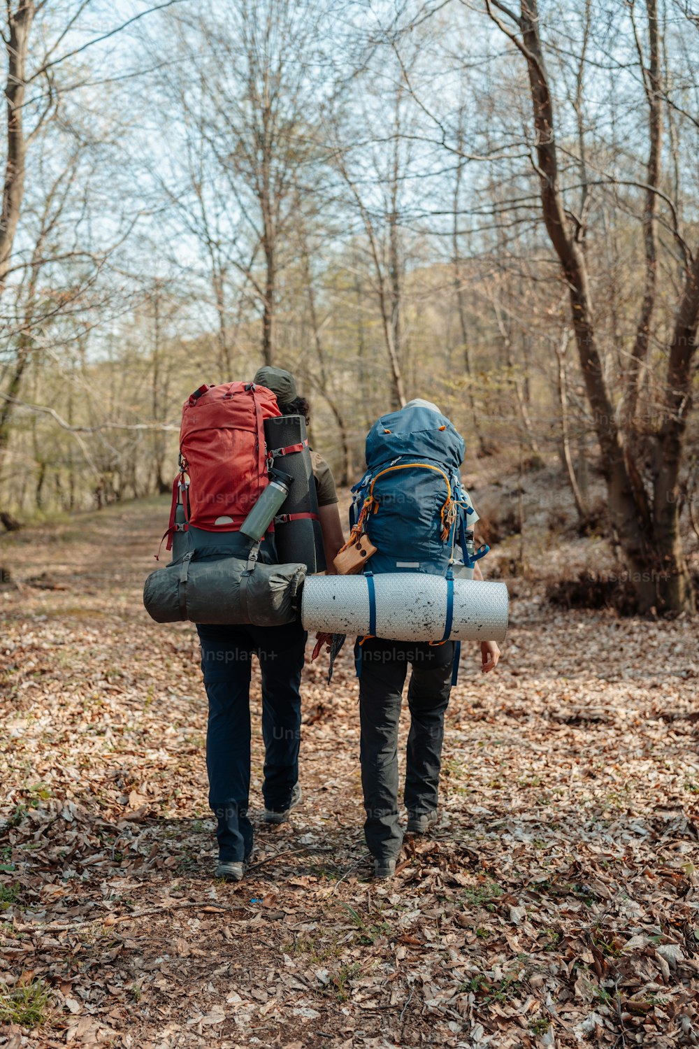 a couple of people walking through a forest