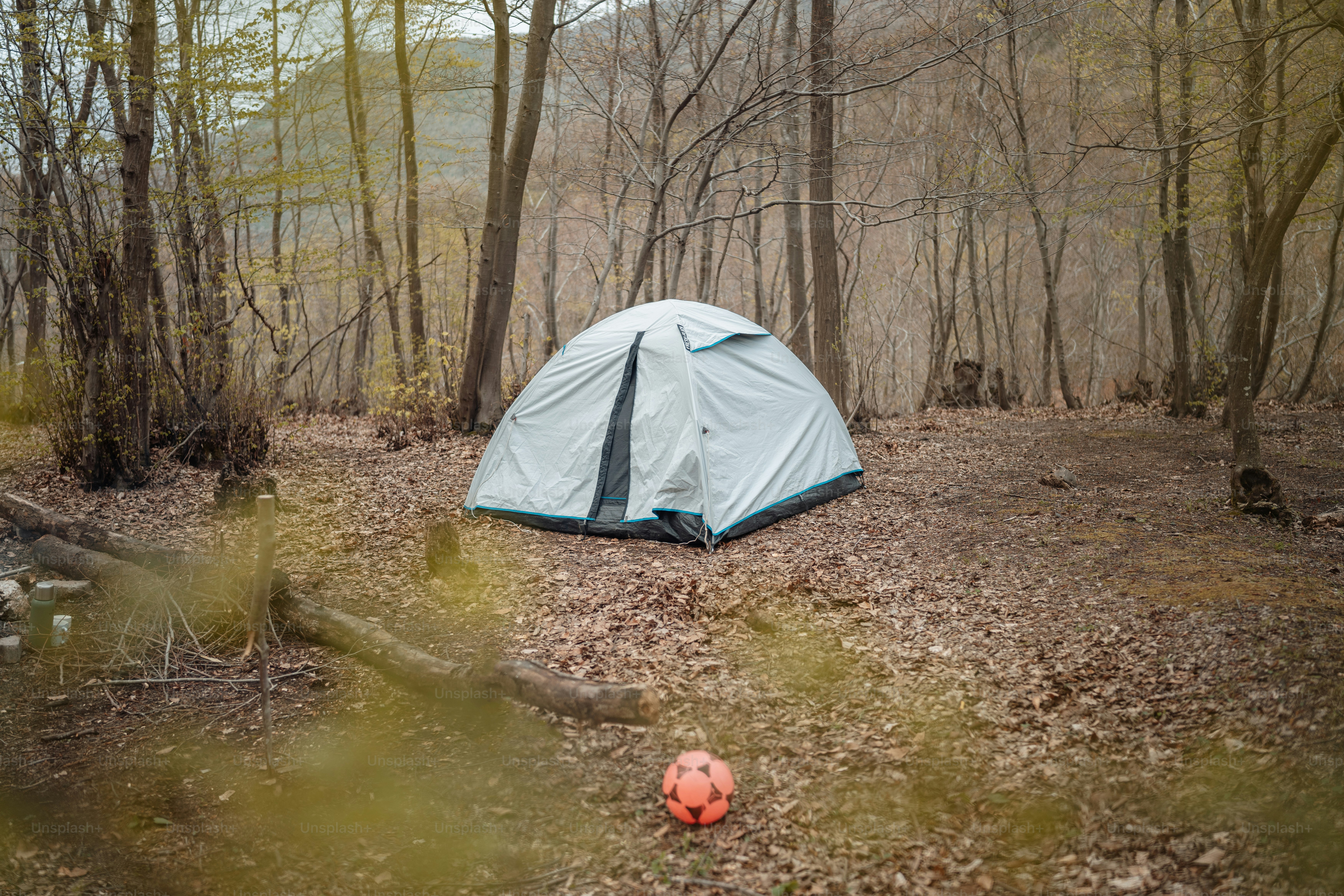 Una tienda de campaña se levanta en el bosque
