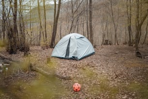 Ein Zelt wird im Wald aufgestellt